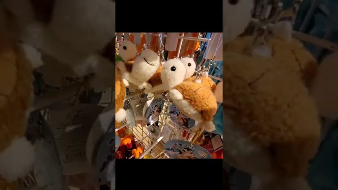 Souvenir shop in Naha, Okinawa (नाहा, ओकिनावा में एक souvenir शॉप)  #japantravel  #travelvlog