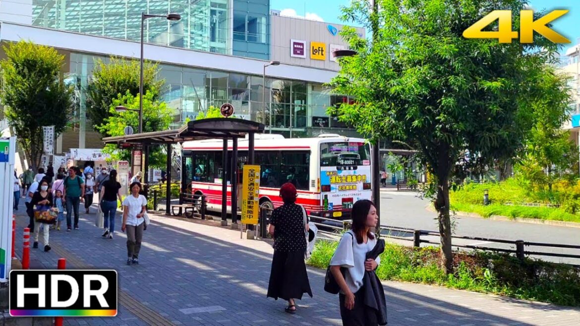 Exploring Kyodo’s Nodai Street in Tokyo, Japan: A 4K HDR Virtual Walk (経堂農大通り散歩) Exploring Kyodo's Nodai Street in Tokyo, Japan: A 4K HDR Virtual Walk (経堂農大通り散歩)
