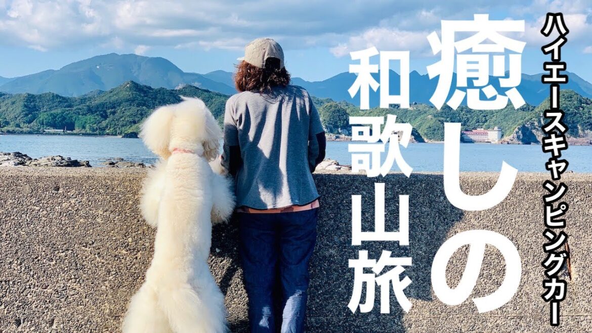 【ハイエースキャンピングカー】弾丸２泊車中泊〜１日だけの休日に夫婦と老犬癒しの和歌山旅