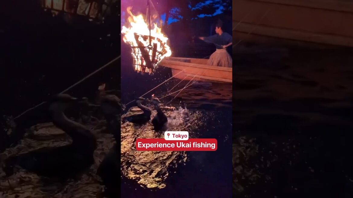 🐟CENTURIES OLD FISHING IN JAPAN! #japantravel #japanthings #japaneseculture
