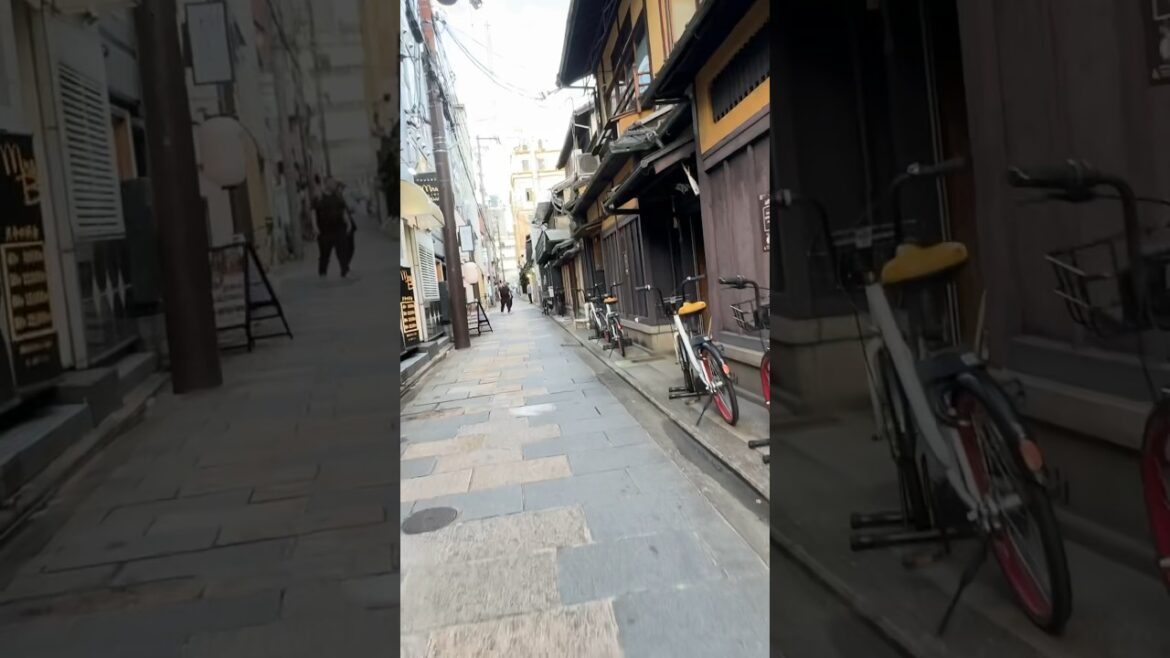 Kyoto Saiseki-dori #西石垣通 #kyoto #kyotowalk #japanwalk #japan #さいせきどおり #walkingtour #japanwalkingtour