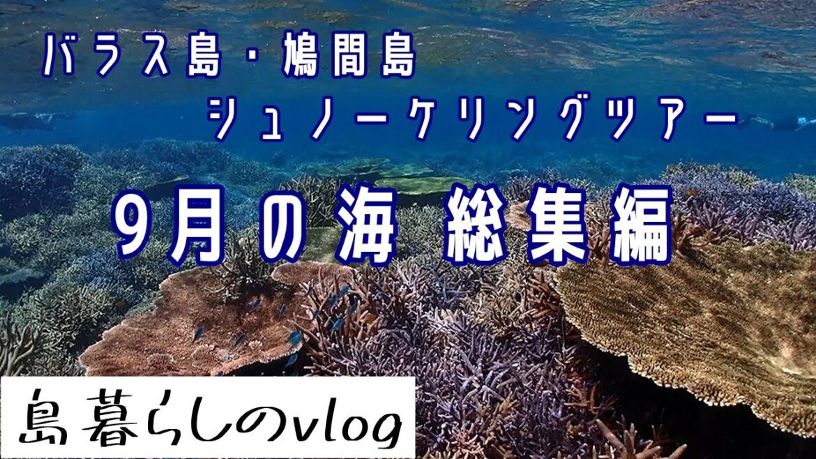 西表島バラス島・鳩間島シュノーケリングツアー/9月総集編/No.241 西表島バラス島・鳩間島シュノーケリングツアー/9月総集編/No.241