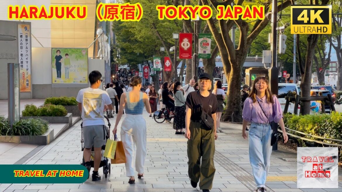 4k hdr japan travel | Walk in Harajuku（原宿）Tokyo japan |  Relaxing Natural City ambience