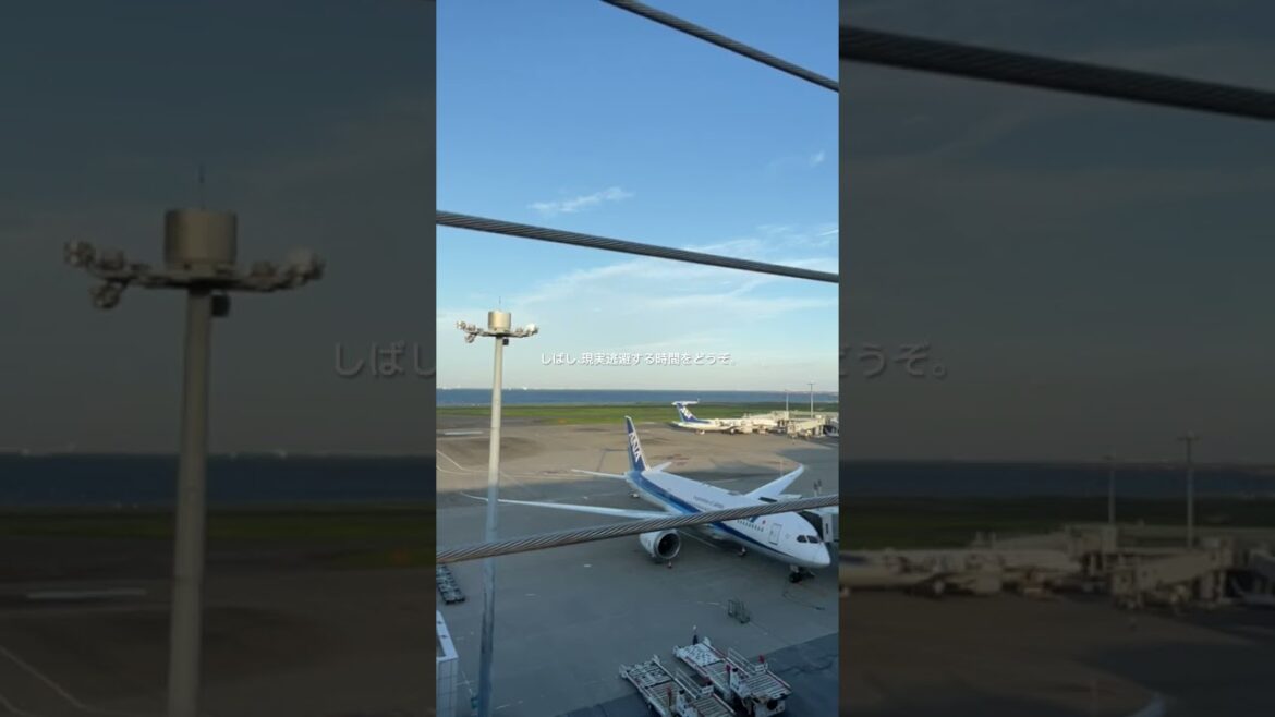 【smartphone view】 View of the airport, airplanes stopping #haneda #airport #japantrip