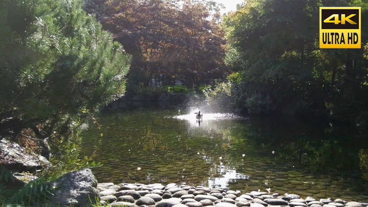 【4K】豊平公園 散歩 2023 | 日本 北海道 札幌 豊平区 豊平【Binaural ASMR】