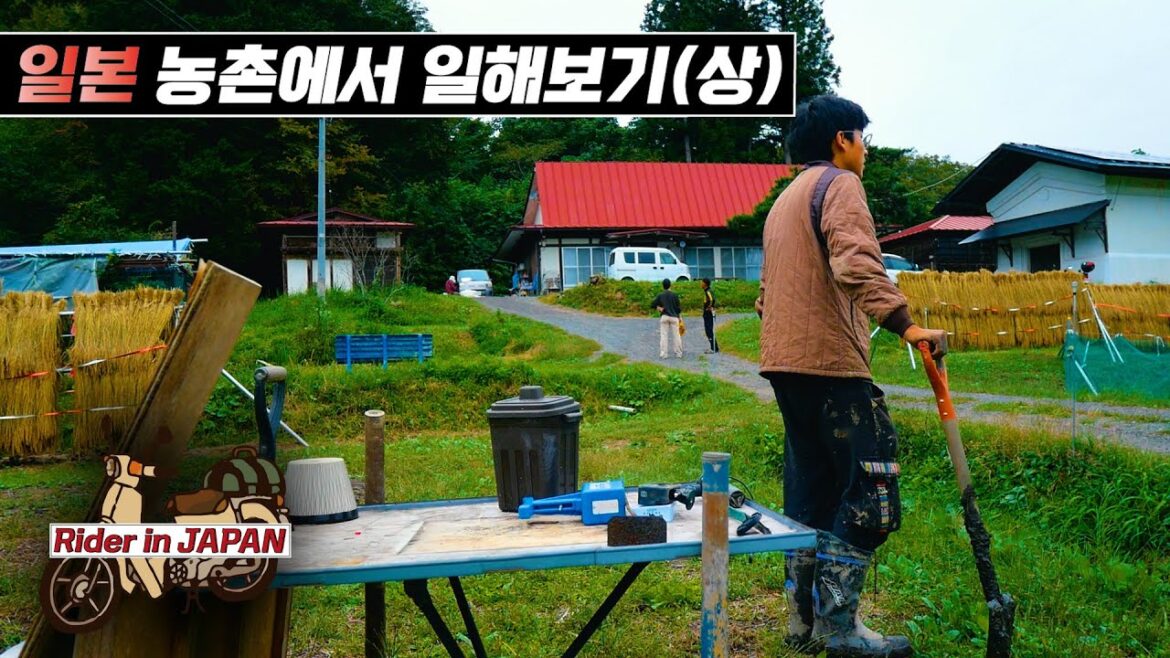 인력난 심한 일본 농촌에서 일해보기 上편 [라이더 인 재팬 13]🇯🇵