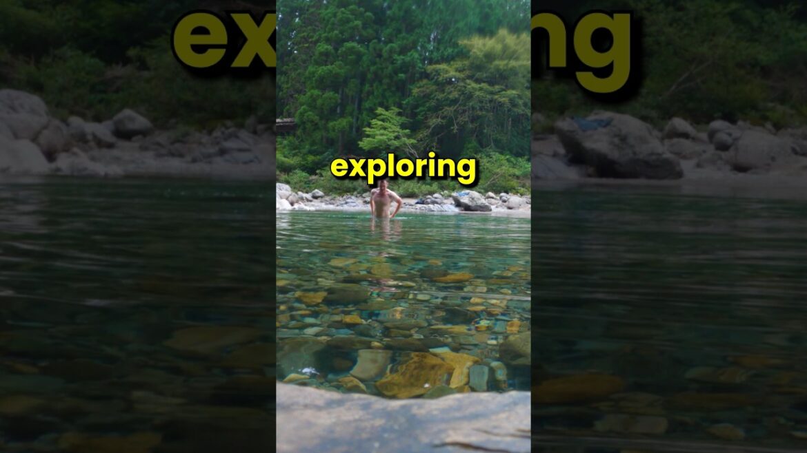 Finding a Secret Spot in Japan 🗾