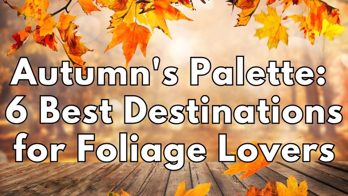 Autumn's Palette: 6 Best Destinations for Foliage Lovers (2023)