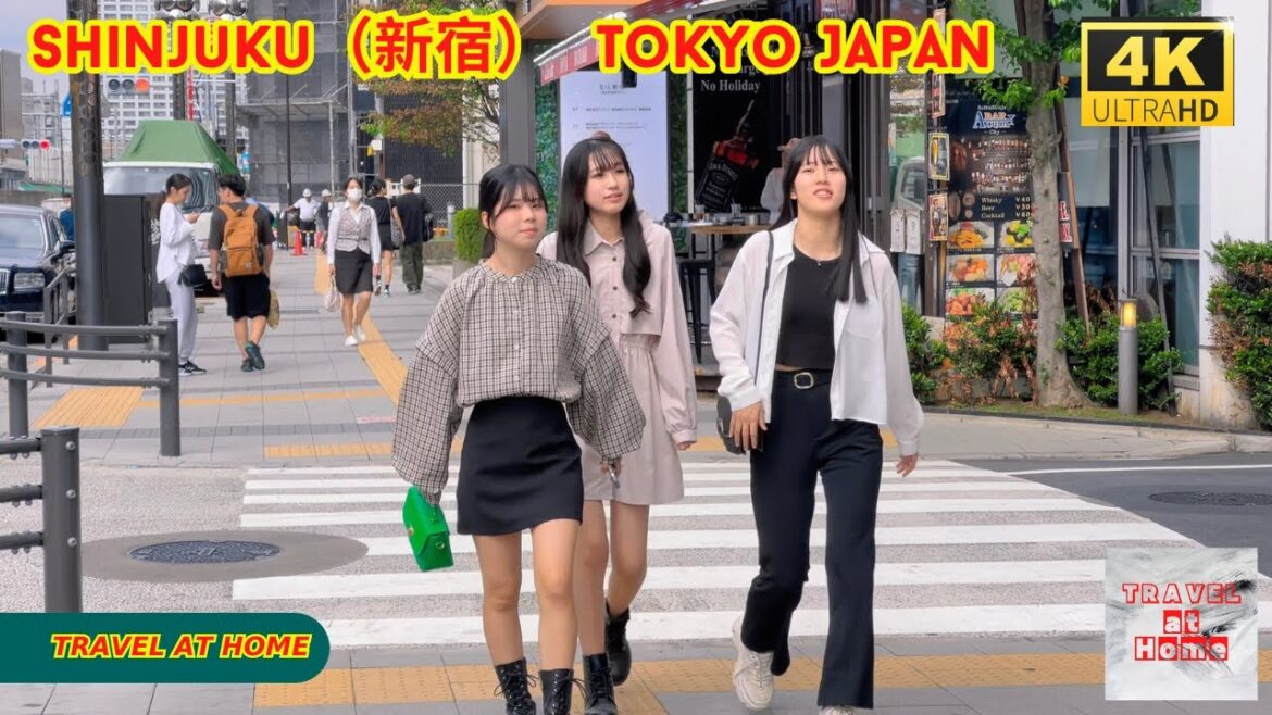 4k hdr japan travel | 1 Hour Walk in Shinjuku(新宿)Tokyo Japan | Relaxing Natural City ambience 4k hdr japan travel | 1 Hour Walk in Shinjuku(新宿)Tokyo Japan | Relaxing Natural City ambience
