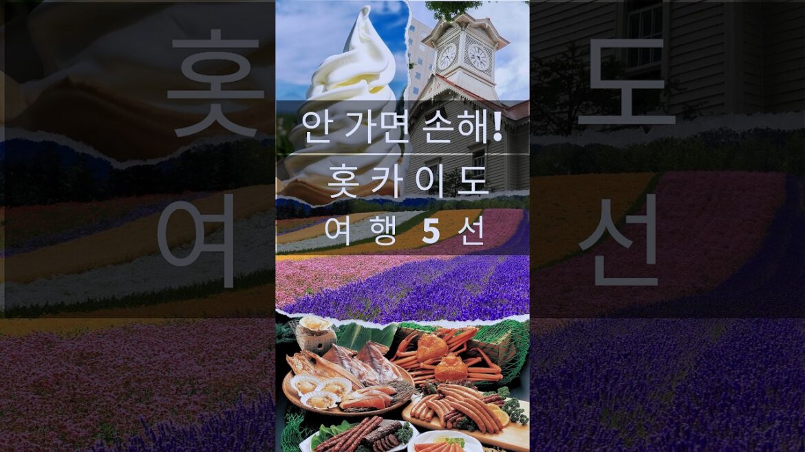 【일본인이 알려주는】일본홋카이도여행가이드『일본인이 가르치는』일본 홋카이도 여행 5선　#short #shorts