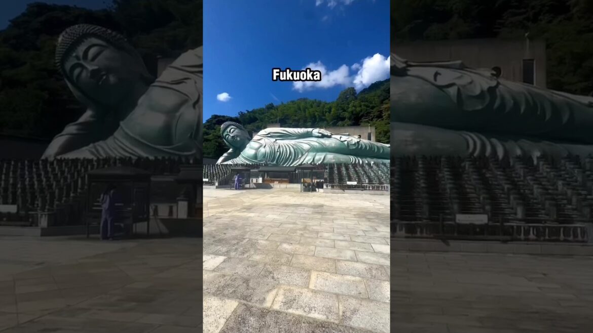 You have been to Tokyo #tokyo #Fukuoka You have been to Tokyo #tokyo #Fukuoka