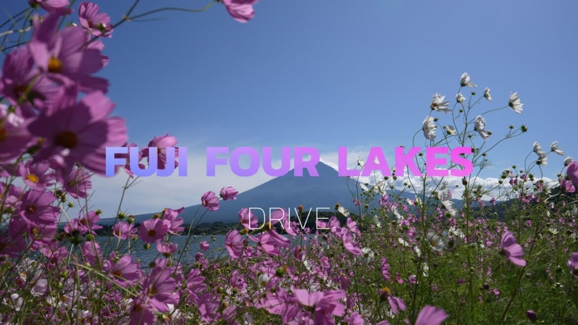 富士四湖（本栖湖、精進湖、西湖、河口湖）ドライブ