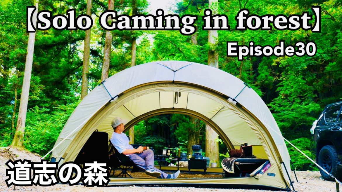 【Solo Camping in Forest EP30】曇りのち小雨、道志の森で過ごすソロキャンプ!TENTERの圧倒的な迫力!テントでリラックス#solocamping #asmr #露營 #캠프 【Solo Camping in Forest EP30】曇りのち小雨、道志の森で過ごすソロキャンプ!TENTERの圧倒的な迫力!テントでリラックス#solocamping #asmr #露營 #캠프