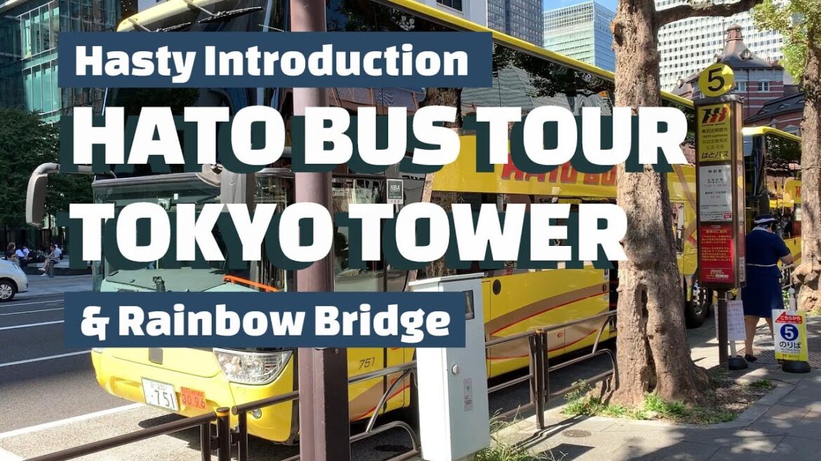[Hato Bus Tour] Tokyo Tower and Rainbow Bridge in a hurry. Try the stairs of Tokyo Tower