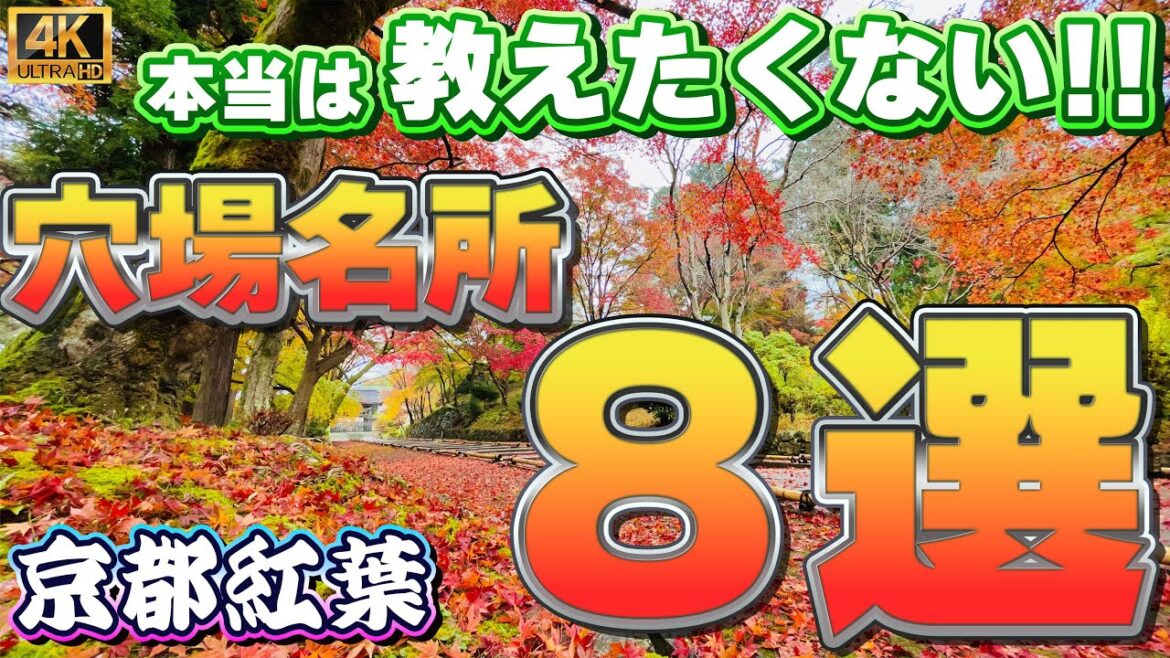 【こっそり教えたい】京都の紅葉　穴場名所 8選