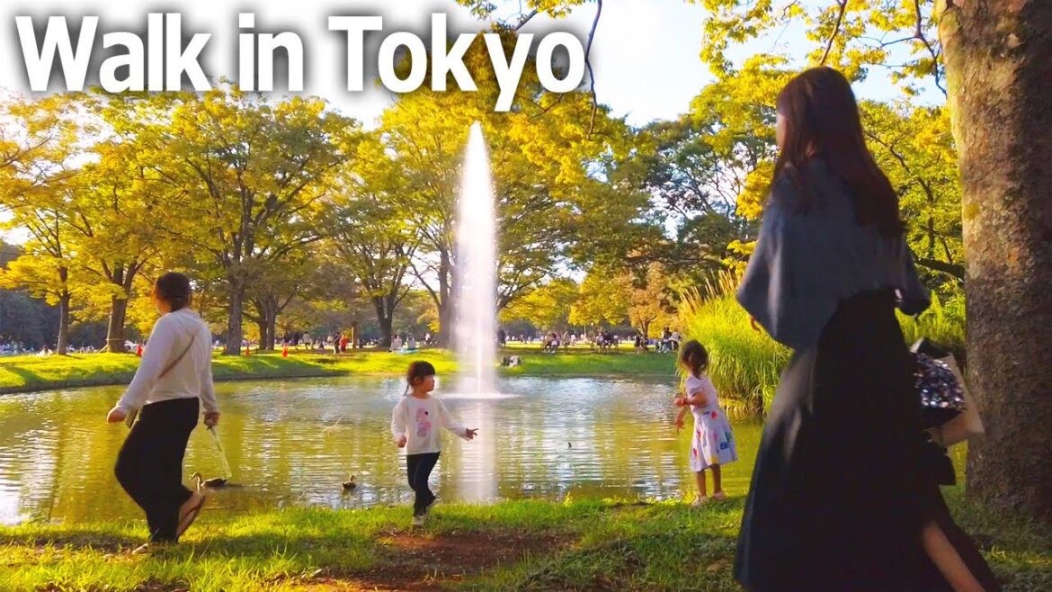 Tokyo walking tour - Yoyogi Park and India Fest♪ (Sep. 2023)