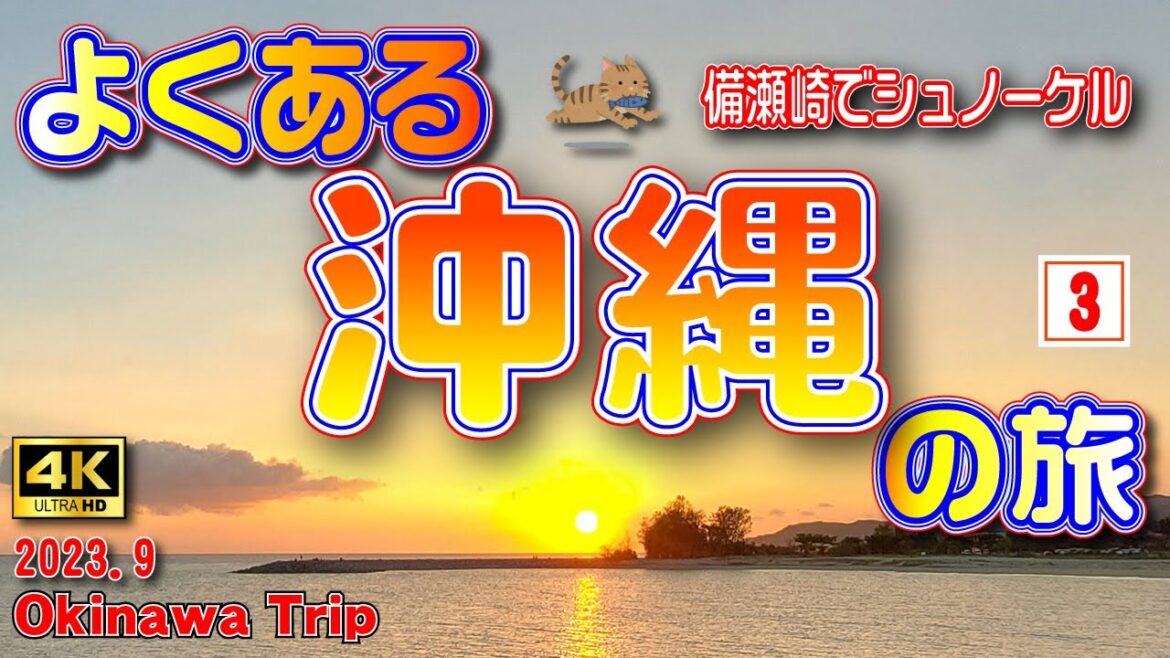 sub) 4K【沖縄旅行】まだまだ終わらない夏の沖縄🌞3泊4日の旅③(2日目後半)🐠お魚天国🐠備瀬崎でシュノーケリング🌊人魚が魚群に襲われた!?😲【沖縄観光】 Vol.62 sub) 4K【沖縄旅行】まだまだ終わらない夏の沖縄🌞3泊4日の旅③(2日目後半)🐠お魚天国🐠備瀬崎でシュノーケリング🌊人魚が魚群に襲われた!?😲【沖縄観光】 Vol.62