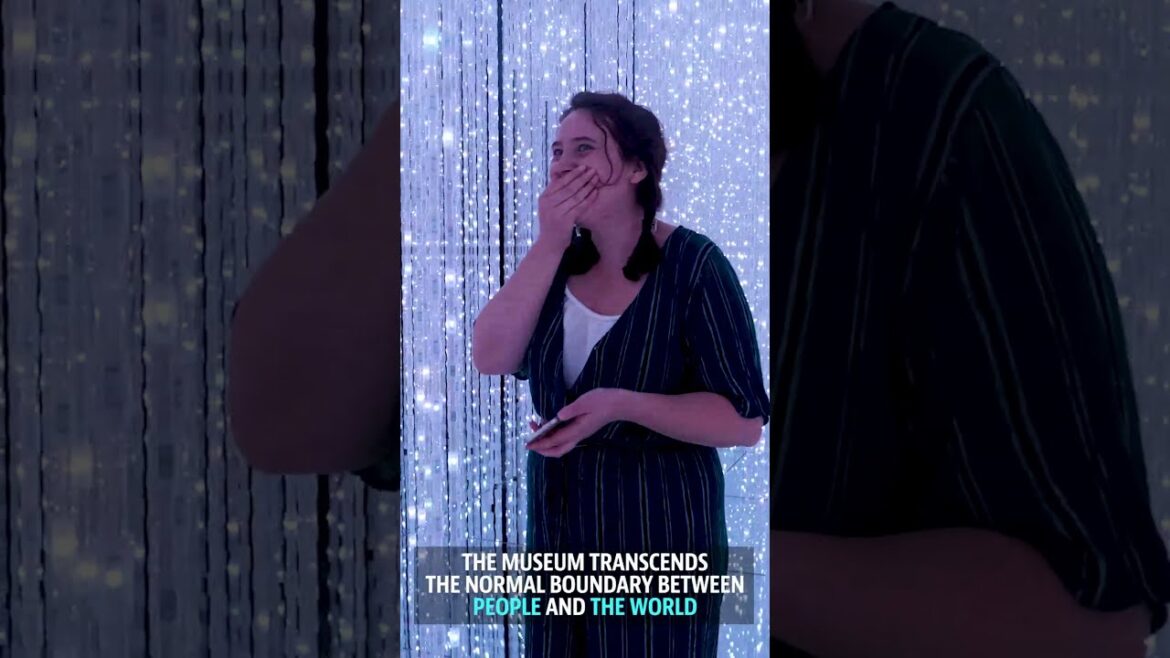 Digital Art Museum in Tokyo Japan 😮 #explore #tour #shorts