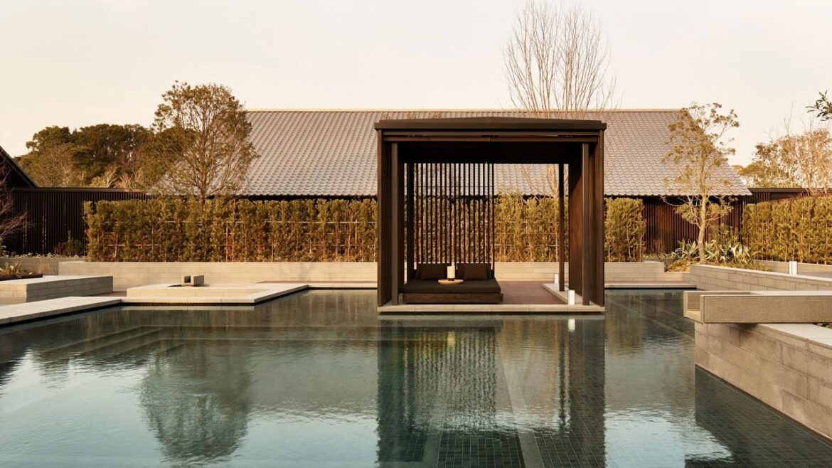 Amanemu by Teresa Perez Amanemu by Teresa Perez