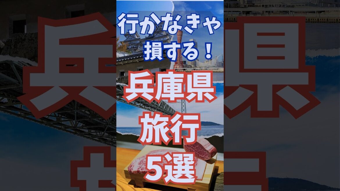 兵庫旅行 5選　行かなきゃ損する兵庫観光 #shorts #short