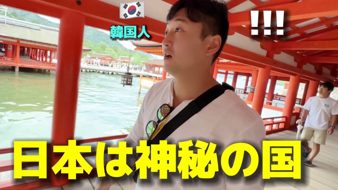 ここが日本という国なんですか？韓国人が本当に驚きました！神秘で美しすぎてまるで天国でした！