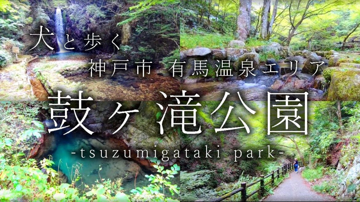 神戸市「鼓ヶ滝公園」犬と歩く有馬温泉エリア・美しい日本風の公園で滝の音に浄化される。Tourist spots in Arima-onsen, Kobe, Hyogo, Japan.