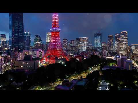 Top 10 Things To Do and See in Tokyo Japan as a Tourist in 2023 Top 10 Things To Do and See in Tokyo Japan as a Tourist in 2023