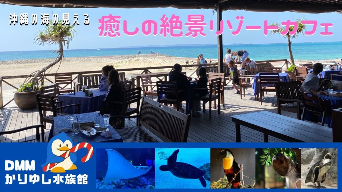 【沖縄旅行】絶品カフェランチ!癒されたい人にオススメのナマケモノ可愛いカワウソ【沖縄観光】【かりゆし水族館】【沖縄カフェ|リゾート】【沖縄そば】【沖縄Vlog】 【沖縄旅行】絶品カフェランチ!癒されたい人にオススメのナマケモノ可愛いカワウソ【沖縄観光】【かりゆし水族館】【沖縄カフェ|リゾート】【沖縄そば】【沖縄Vlog】