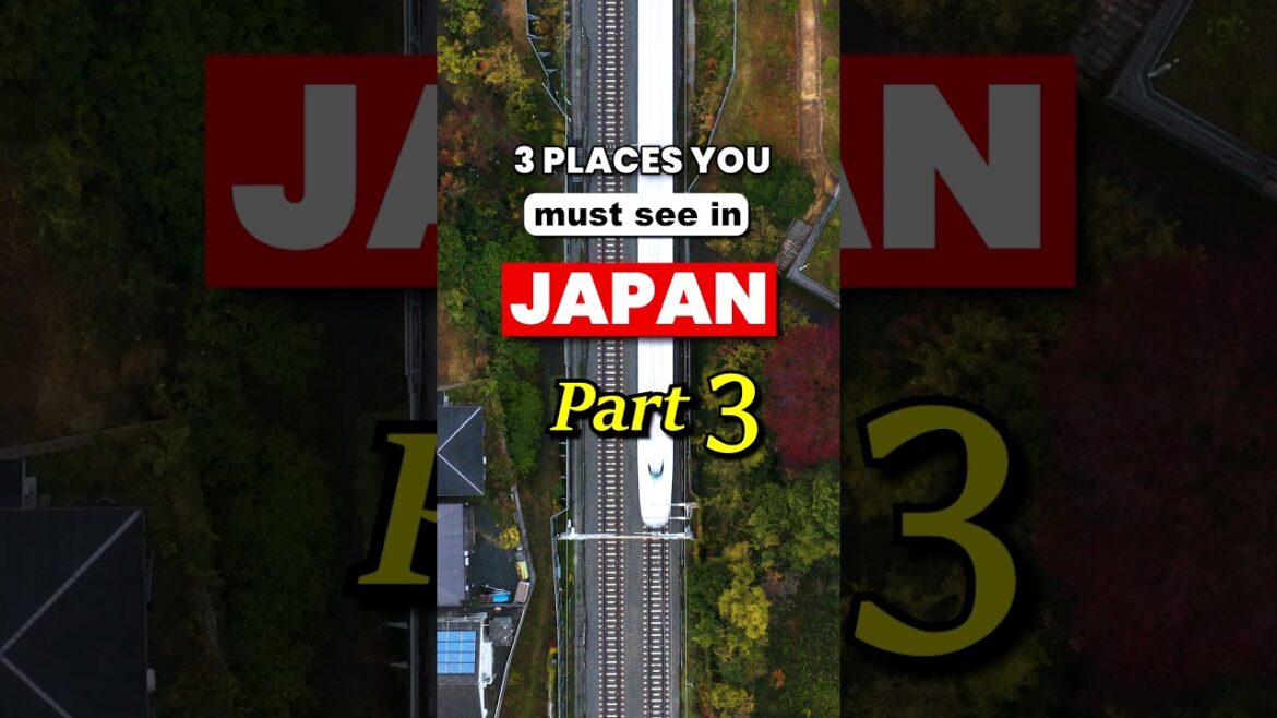 3 MUST SEE PLACES in Japan ⛩️ PART 3