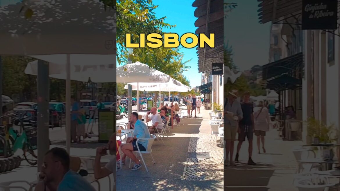 Summer Day in Lisbon #lisboa #shorts #lisbon #portugal #lisbonne Summer Day in Lisbon #lisboa #shorts #lisbon #portugal #lisbonne