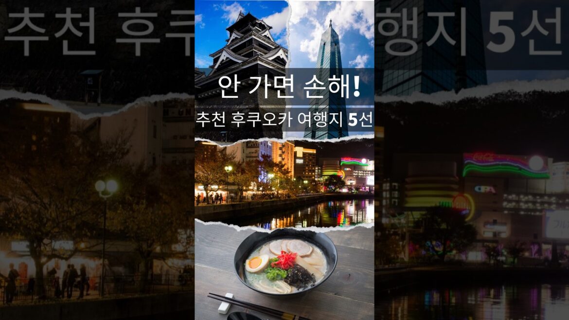 【일본인이 알려주는】일본후쿠오카여행가이드 안 가면 손해!추천 후쿠오카 여행지 5선 【일본인이 알려주는】일본후쿠오카여행가이드 안 가면 손해!추천 후쿠오카 여행지 5선