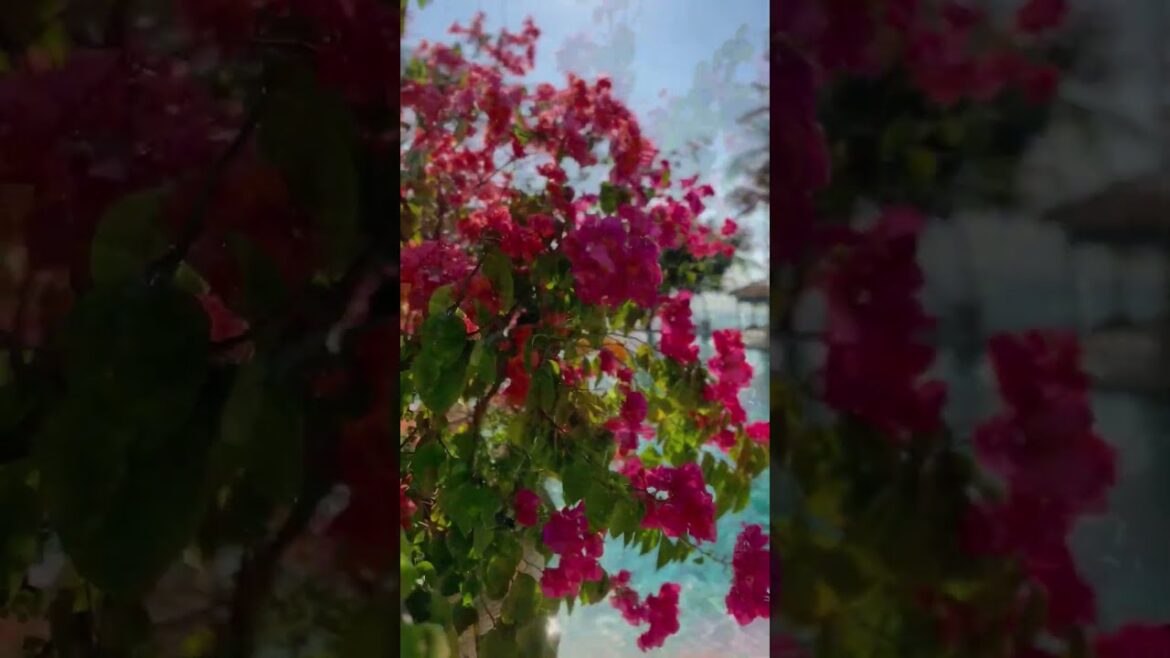 Paradise Found: Intercontinental Bali Resort