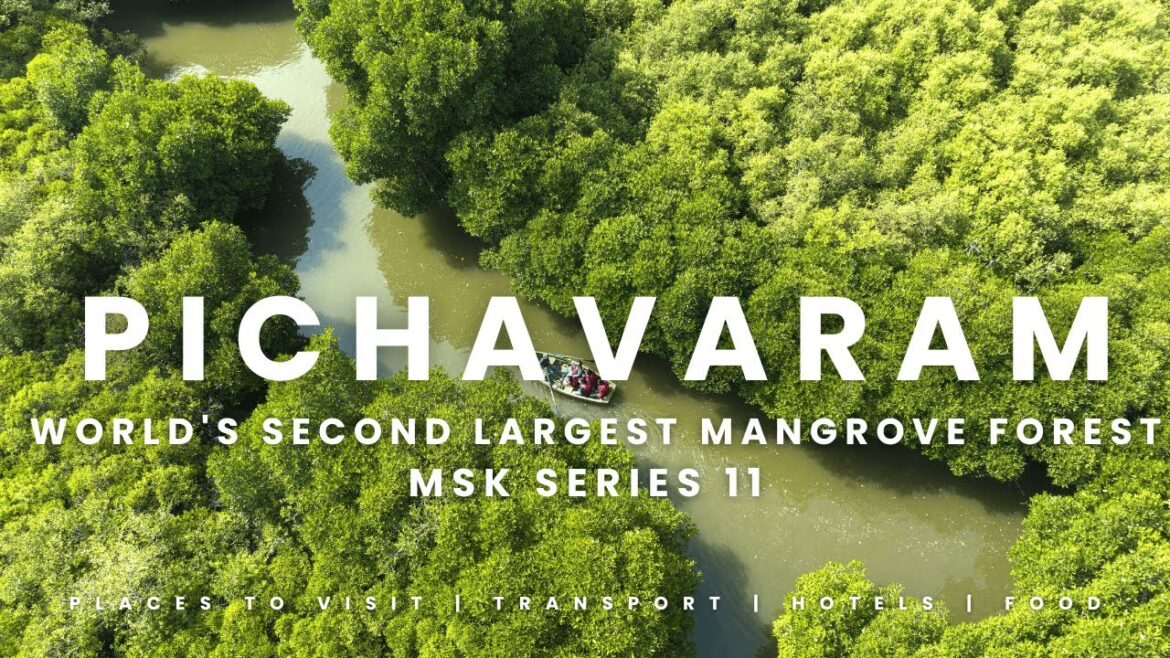 PItchavaram: Nature’s Hidden Paradise Revealed PItchavaram: Nature's Hidden Paradise Revealed
