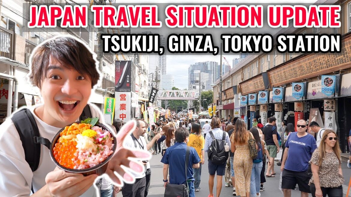 [2023 October] Travel Situation Update with Nice Seafoods from Tsukiji, Ginza, Tokyo Station Ep.430