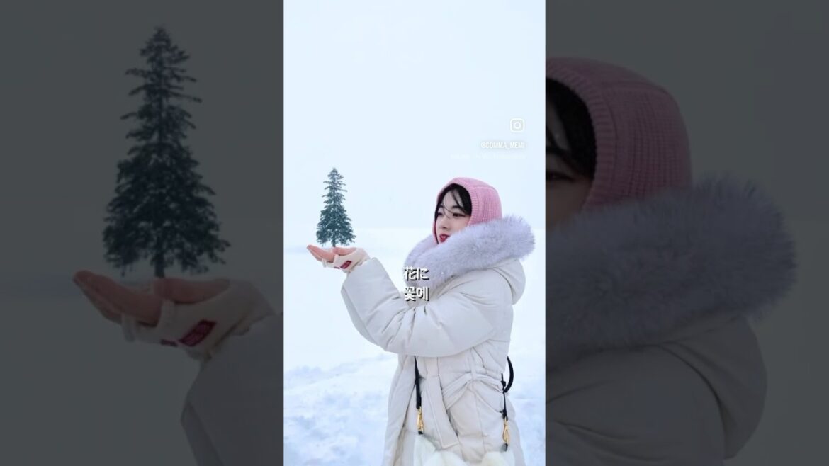 꿈같던 비에이투어🌨️🌲#shorts #sapporo