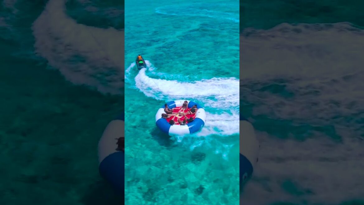 リザンではハリケーンボートを楽しめます✨#shorts リザンではハリケーンボートを楽しめます✨#shorts