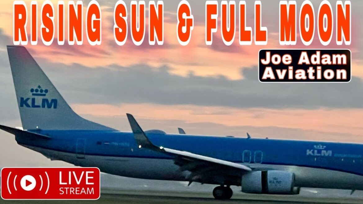 🔴 EARLY MORNING LANDING | Amsterdam Airport Planespotting ✈️#JoeAdamAviation 🇳🇱 LIVE!