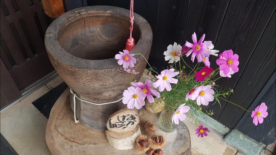 Unique Japanese AirBnB Experience! Unique Japanese AirBnB Experience!