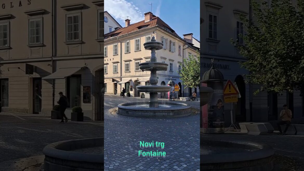 Novi trg - Fontaine