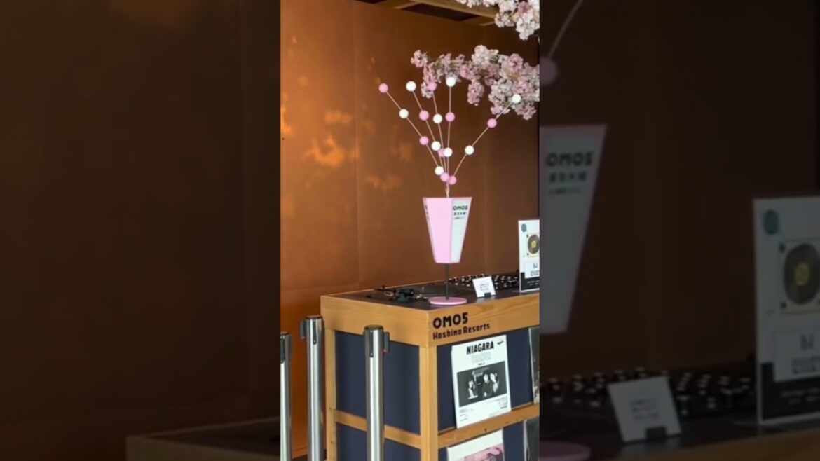 Check out our video about Travel to Tokyo Japan on a BUDGET for cheap hotels and food Check out our video about Travel to Tokyo Japan on a BUDGET for cheap hotels and food