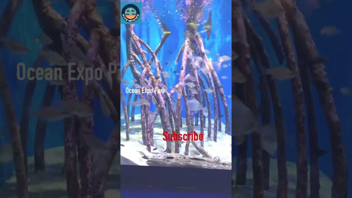 Okinawa Ocean Expo Park | #youtubeshorts #travel #japantravel