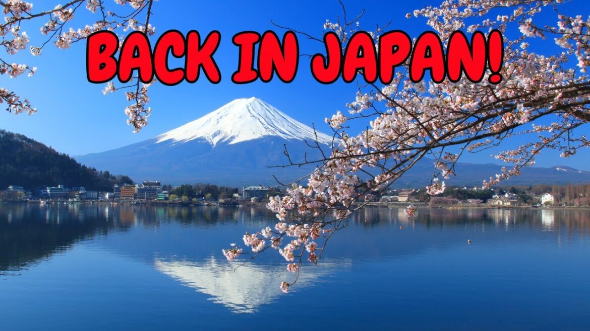 Japan Revisited: Rediscovering the Magic of Travel, Culture, and More. Coming soon! #culture #travel