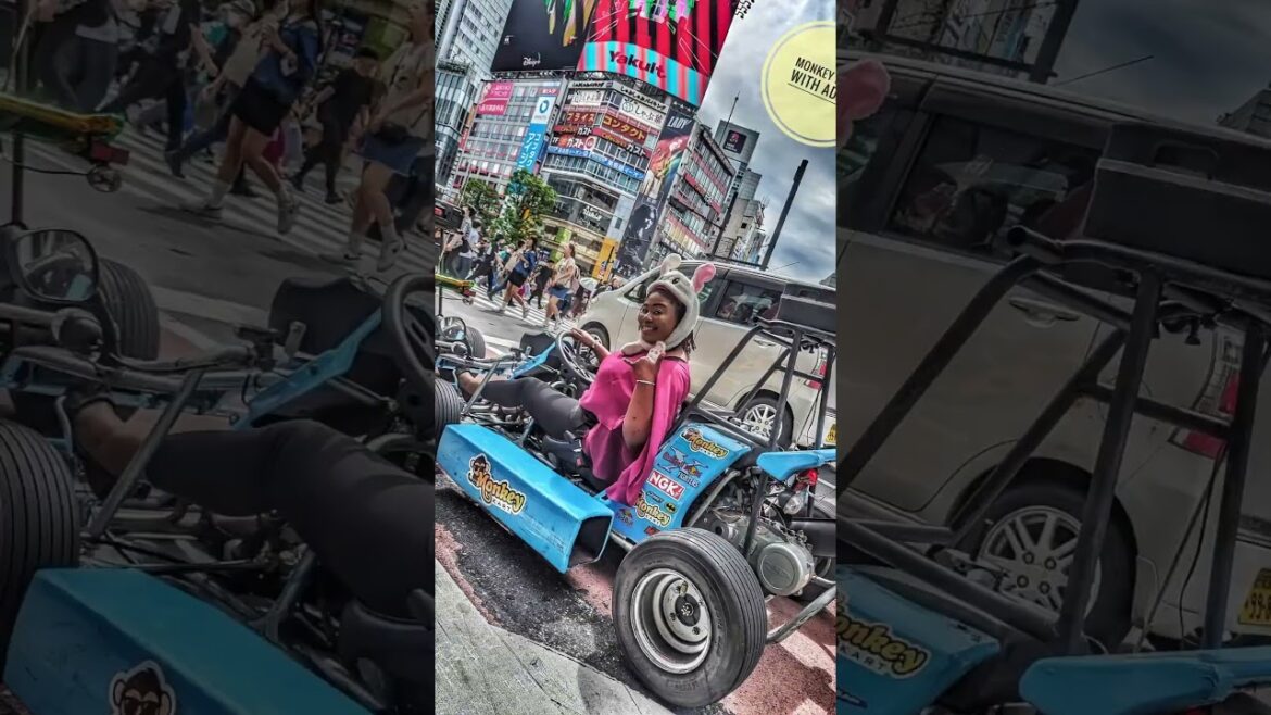 Race Around Shinjuku, Shibuya & Harajuku with me in a Go Kart | Tokyo Adventures | Ashley on The Map Race Around Shinjuku, Shibuya & Harajuku with me in a Go Kart | Tokyo Adventures | Ashley on The Map