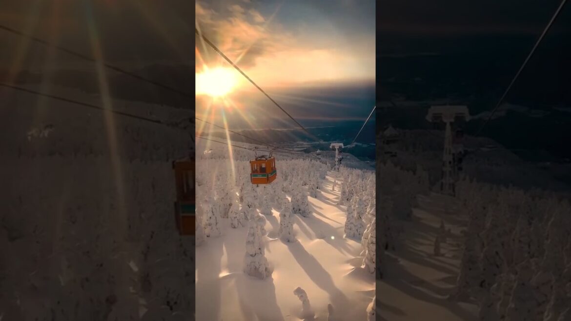 Most Beautiful Places in Japan🤩🎌⛩️ #shorts #naturelovers #beautifulplaces #japan