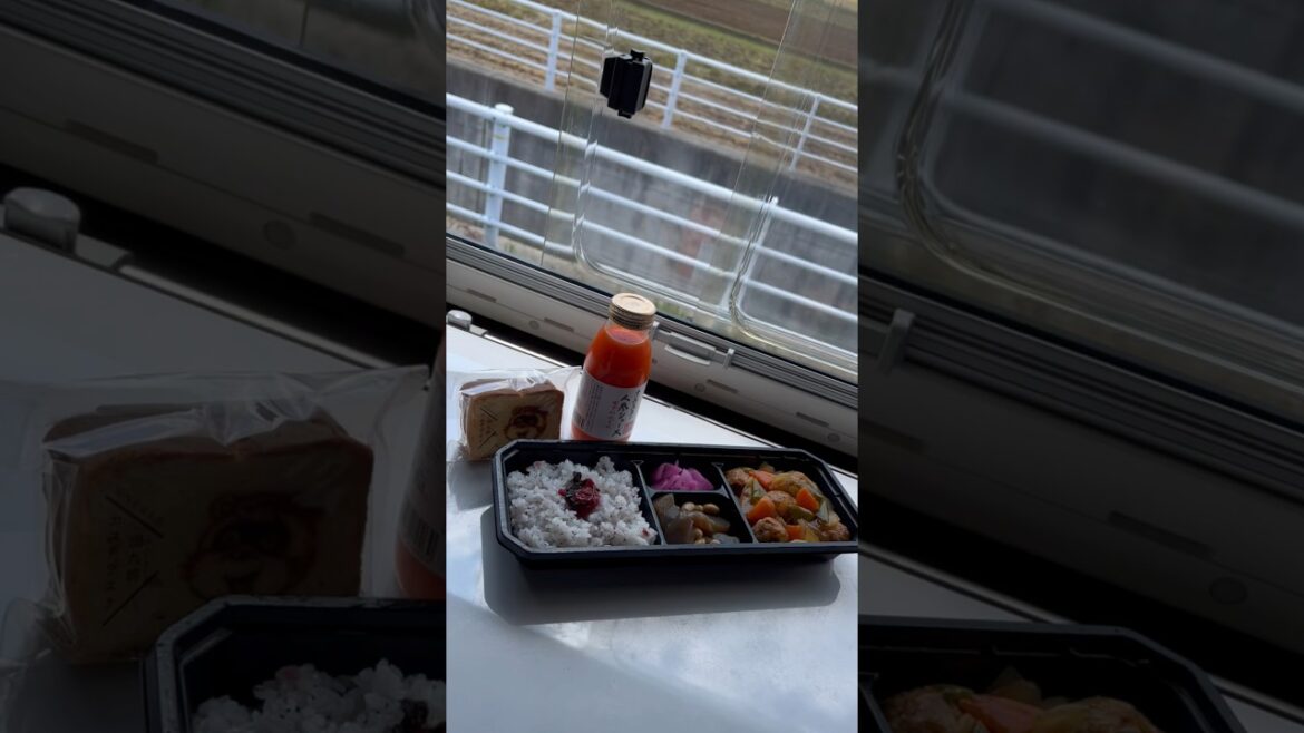 Lunch in a Campervan in Japan’s countryside | Niigata
