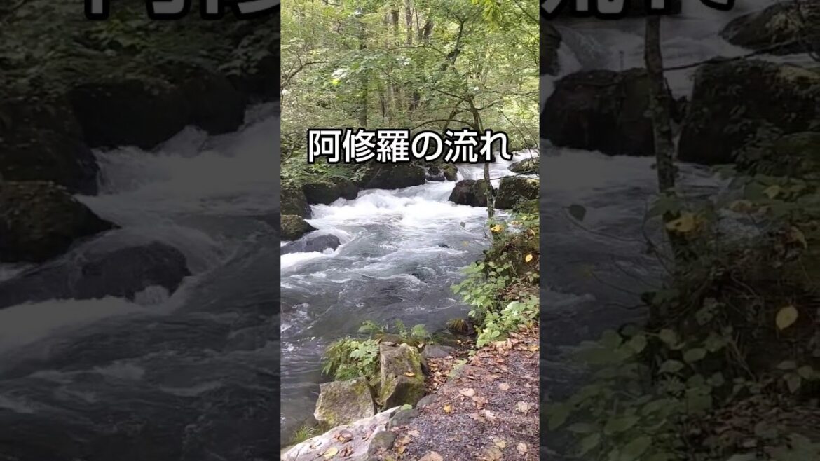 【絶景】奥入瀬渓流の滝めぐり／Visit waterfalls at Oirase Gorge #shorts