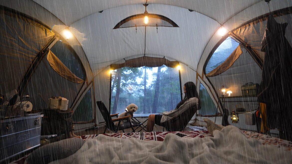 ๊น์ ์ฒ์๐ฒ ์์ฌ7m์ ์์ํ ๊ณ๊ณก์ ๋ฐ๋ผ๋ณด๋ฉฐ ์ฐ์ค์บ ํ | ํผ์์ 5์ธ์ฉ ํ
ํธ์น๊ธฐ | ํ ๋งํ  ๋ฒ ์ด์ปจ๊ตฌ์ด, ์ฑ๋์ด ์คํ
์ดํฌ ๊น์ ์ฒ์๐ฒ ์์ฌ7m์ ์์ํ ๊ณ๊ณก์ ๋ฐ๋ผ๋ณด๋ฉฐ ์ฐ์ค์บ ํ | ํผ์์ 5์ธ์ฉ ํ
ํธ์น๊ธฐ | ํ ๋งํ  ๋ฒ ์ด์ปจ๊ตฌ์ด, ์ฑ๋์ด ์คํ
์ดํฌ