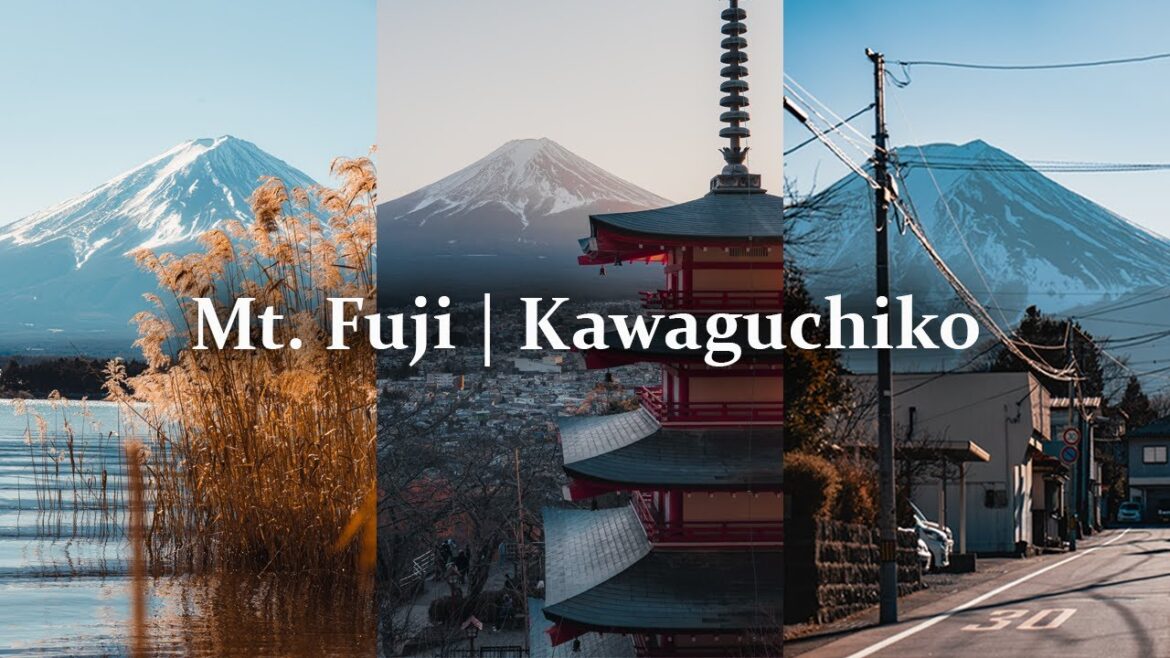 Day trip to Mt Fuji, Kawaguchiko from Tokyo | Sunny Sight See