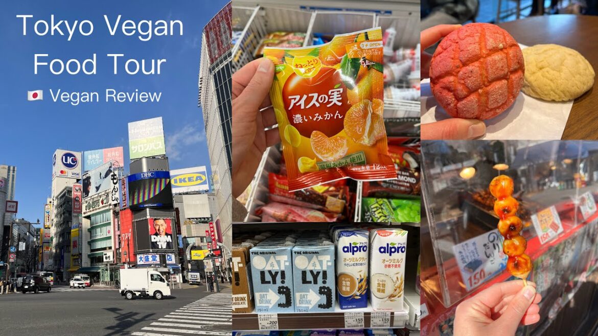 🇯🇵 Tokyo Vegan Food (Take Away, Cafés, Konbinis, Supermarkets) | Part 1 | Restaurant Review 🇯🇵 Tokyo Vegan Food (Take Away, Cafés, Konbinis, Supermarkets) | Part 1 | Restaurant Review