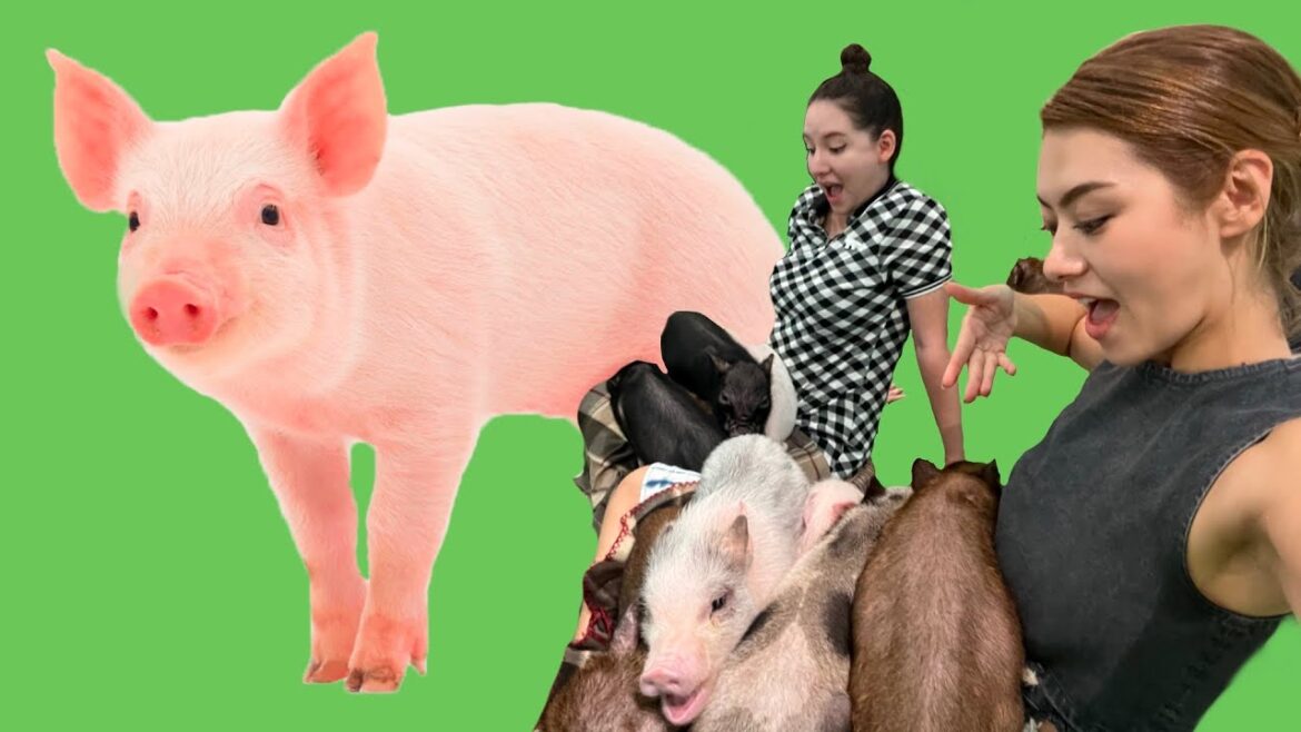 J’emmène ma meilleure amie en voyage !